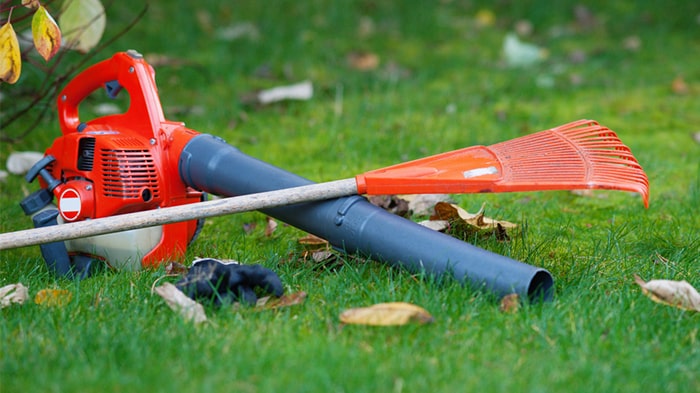 واردات دمنده از چین